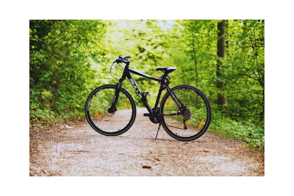 Sustentabilidade em movimento: muitos resorts oferecem bicicletas gratuitas para reduzir a emissão de carbono