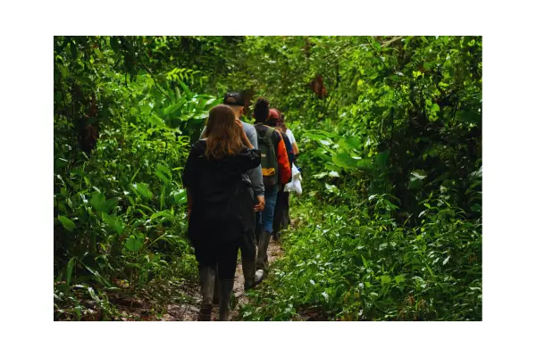 Explorar trilhas ecológicas permite vivenciar a natureza de forma consciente e respeitosa