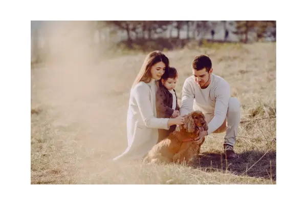 Momentos inesquecíveis em hotéis que acolhem pets
