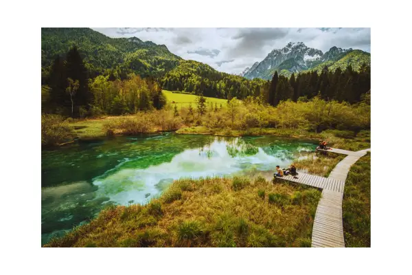 Imagem de uma reserva natural com vida selvagem em seu habitat natural, destacando a importância do turismo de conservação para a proteção dos ecossistemas