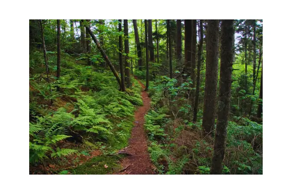 Descubra as trilhas ecológicas de Chiang Mai e conecte-se com a natureza