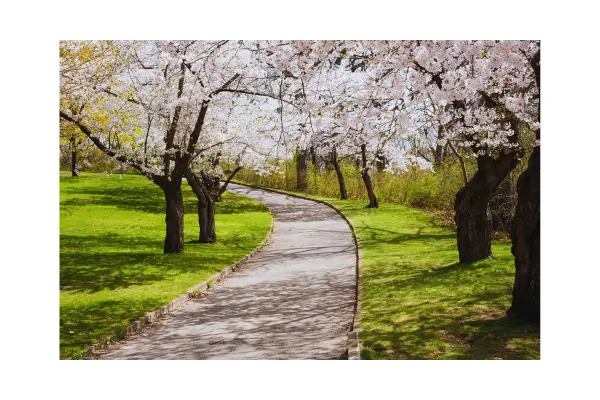 Montevidéu oferece espaços verdes para lazer e sustentabilidade
