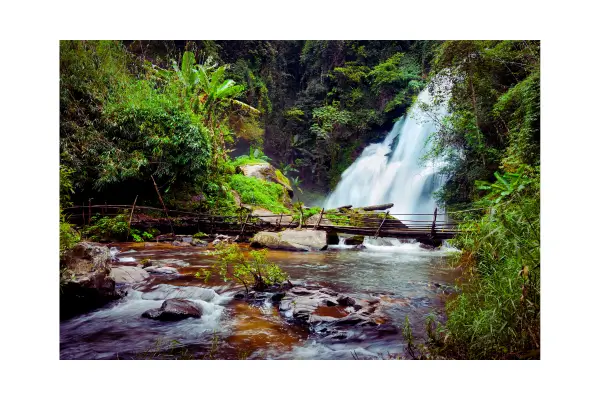 Paisagem exuberante de um destino sustentável, com natureza preservada e estrutura ecológica
