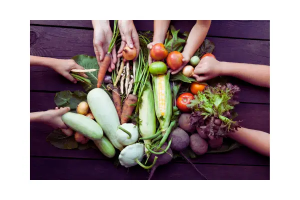 Alimentação Sustentável