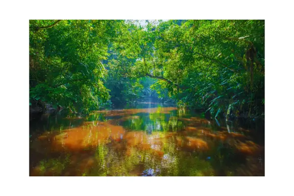 Alter do Chão, o 'Caribe Amazônico', combina belezas naturais com turismo comunitário sustentável