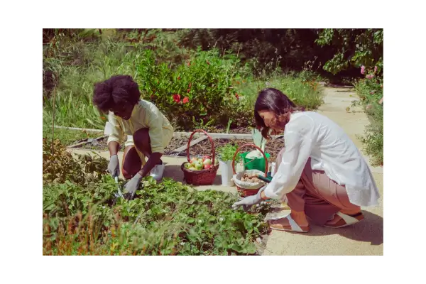 Conexão entre visitantes e comunidade local