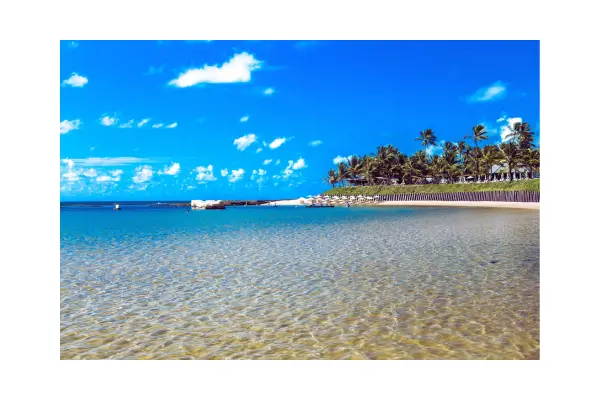 Vista aérea da praia e piscinas naturais em Porto de Galinhas com águas cristalinas e areia branca.