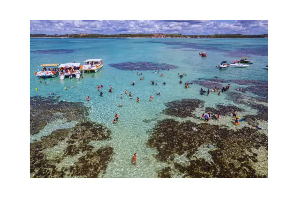 Praia de Maragogi com águas cristalinas e areia branca, cenário de uma viagem inesquecível