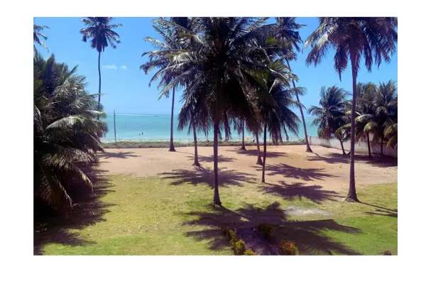 Vista do quintal da casa em Maragogi