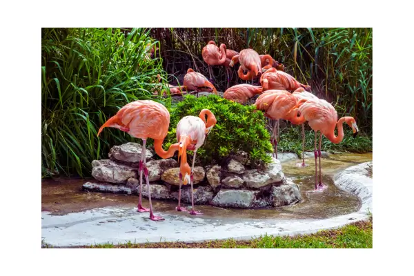 Jardim Zoológico de Lisboa