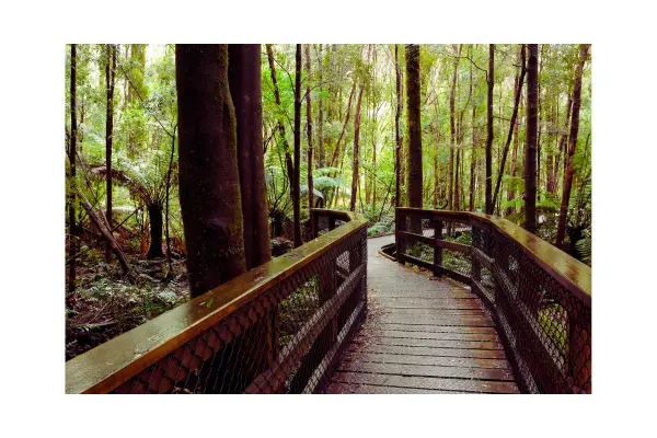 Paisagem natural simbolizando o estilo de viagem conectado à natureza, trilhas e ecoturismo.