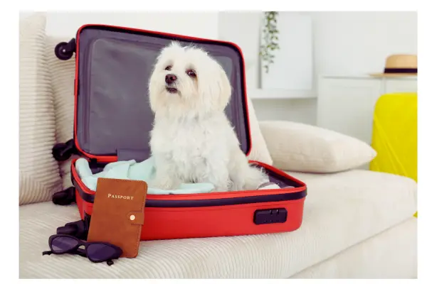 checklist completo para viagem