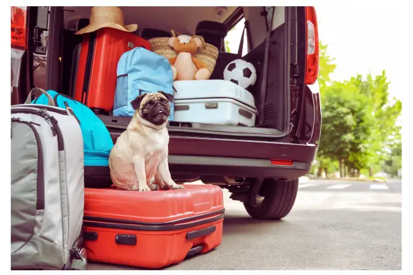 Regras gerais para viagem