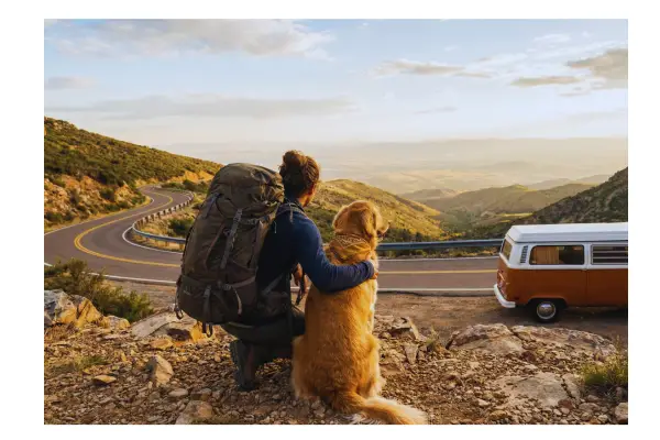 Viajar com pet é caro ou é falta de estratégia?