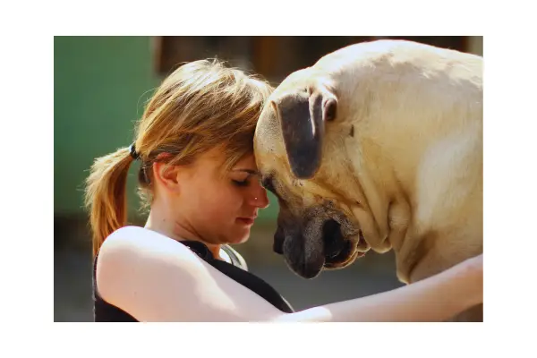 conexão emocional entre tutor e pet durante viagem