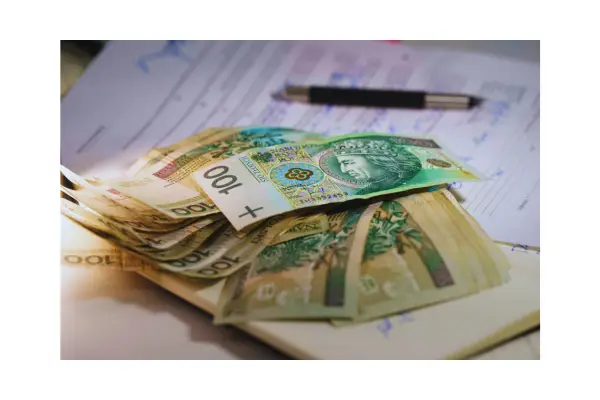 custos de viajar com pet valores reais 
