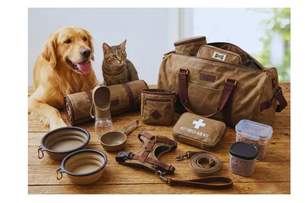 itens essenciais para viajar com cachorro caixa transporte tapete higienico