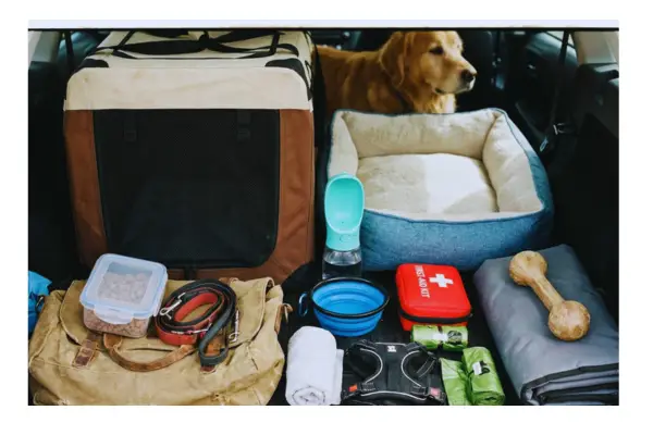 Acessórios essenciais para viajar com pet